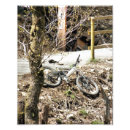 Recherche de mountain bike art Vtt