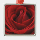 Search for affection ornaments Beauty