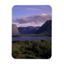 Recherche de caractéristique magnets Canada