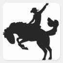 Search for bronco stickers Rodeo