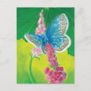 Search for pollinators postcards Bugs