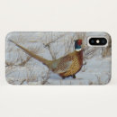 Recherche de casse cou photographie Photographie de la faune