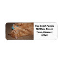Search for pet rescue return address labels Cat