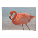 Search for beach pillowcases Bird