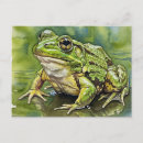 Recherche de yeux cartes postales Postcrossing