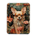 Search for old style magnets Cute