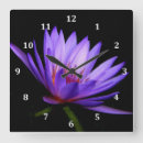 Recherche de fleur de lys horloges Nature