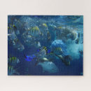Recherche de aquarium puzzles Nautique