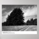 Search for ucsc Ansel adams