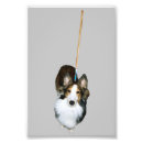 Search for funny dog pictures posters Silly