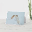 Recherche de oiseau neige vœux cartes Faune