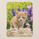 Search for tiger photo blankets For kids