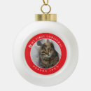 Search for cat photo ornaments Red