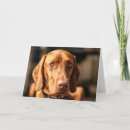 Search for magyar cards Dog