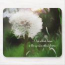 Search for without mousepads Inspirational