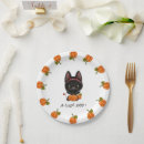 Recherche de baby boo Chat noir