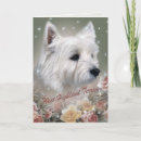 Search for westie lover cards Dogs