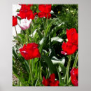 Recherche de tulipe rose posters Pour eux