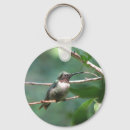 Search for ruby throated hummingbird keychains Hummingbirds