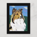 Search for shelti postcards Shetland sheepdog
