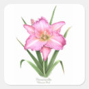 Search for perennials stickers Botanical