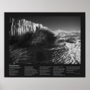 Recherche de herbe art Noir et blanc