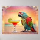 Search for buffett posters Parrot
