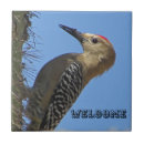 Recherche de sud américaine carreaux Nature