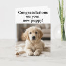 Search for new puppy cards Dog