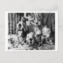 Recherche de loups cartes postales Alaska