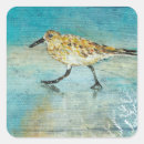 Search for sandpiper stickers Beach