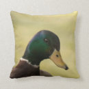 Recherche de canards coussins Pour tous