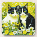 Search for daisy coasters Meadow