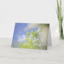 Search for blossom blank cards Nature