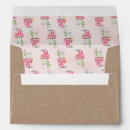 Search for kraft envelopes Liner