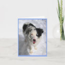 Search for australian shepherd cards Snow