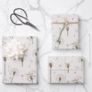 Search for dandelion wrapping paper Wildflower