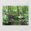 Search for river rocks postcards Leaves