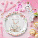 Search for bunny birthday plates Cute