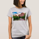 Search for garden path clothing Landscape