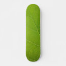 Search for beautiful skateboards Nature