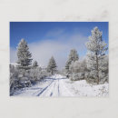 Recherche de givre cartes postales Givré