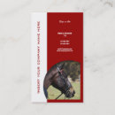 Recherche de affaires de cheval Équestre