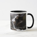 Search for northern forest mugs Nature