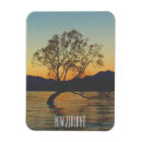 Search for south island magnets Sunset
