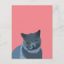 Recherche de chats bleus cartes postales Chat gris