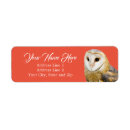 Recherche de hibou rouge Nom