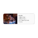 Search for box return address labels Cat