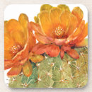 Search for cacti coasters Floral