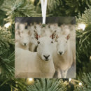Search for farming ornaments Sheep